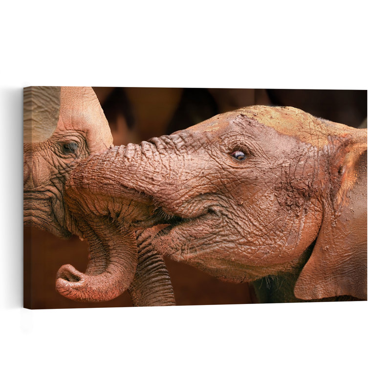 Baby Elephant Love Contemporary Elephant Nature Wildlife Wall Art Print by Jeffrey C. Sink - 1 Piece Wrapped Canvas Wall Art