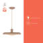 Luminaire suspendu noir 15 po Minori