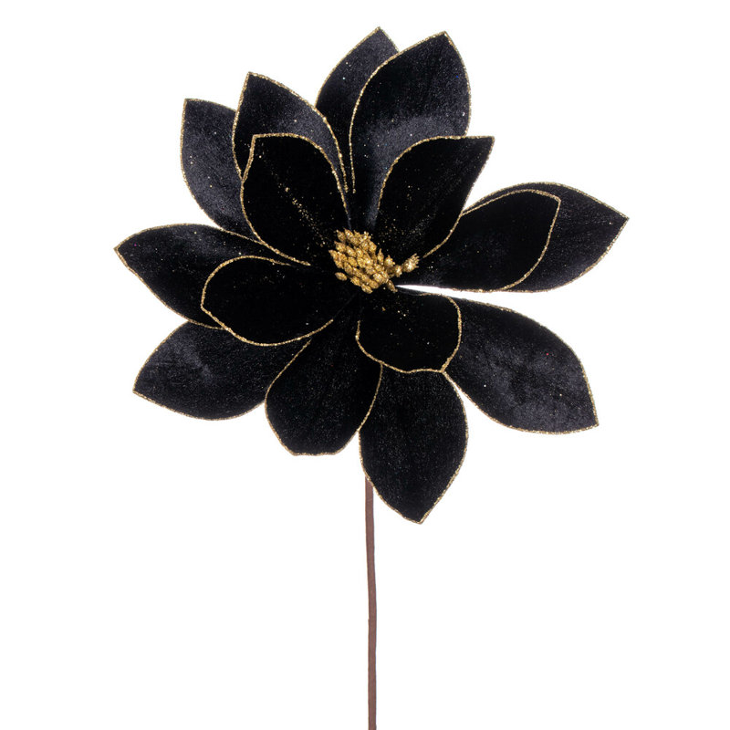 Tige de poinsettia Kimura H 22 po, Noir