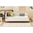 Daybed, With Solid Wood Legs-331113528-331113530