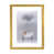 Gold Paper is unavailable