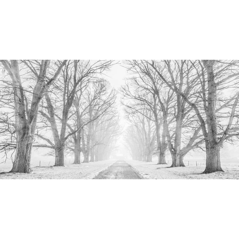 Tree Lined Road In The Snow - Wrapped Canvas Print, 50cm H x 100cm W x 4cm D