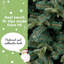 Artificial Christmas Tree-1099355996