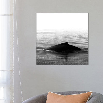 Whale Song III Black Iceland Square by Monika Strigel - Wrapped Canvas Print