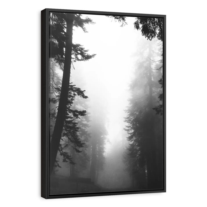 Chemin brumeux, 31 po x 46 po, Cadre flottant noir