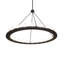 24 - Light Chandelier