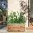 Galvanized Steel Metal Planter Box, Large Rectangular Planter Box with Drainage Holes, Modern Outdoor Planter Box for Indoor & Outdoor Use, Tall Plants, Flowers or Shrubs-1420004110-1430869433