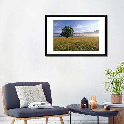 «Lone Bur Oak Tree avec un fond brumeux, Cades Cove, Parc national des Great Smoky Mountains, Tennessee, États-Unis», reproduction de photo sur toile