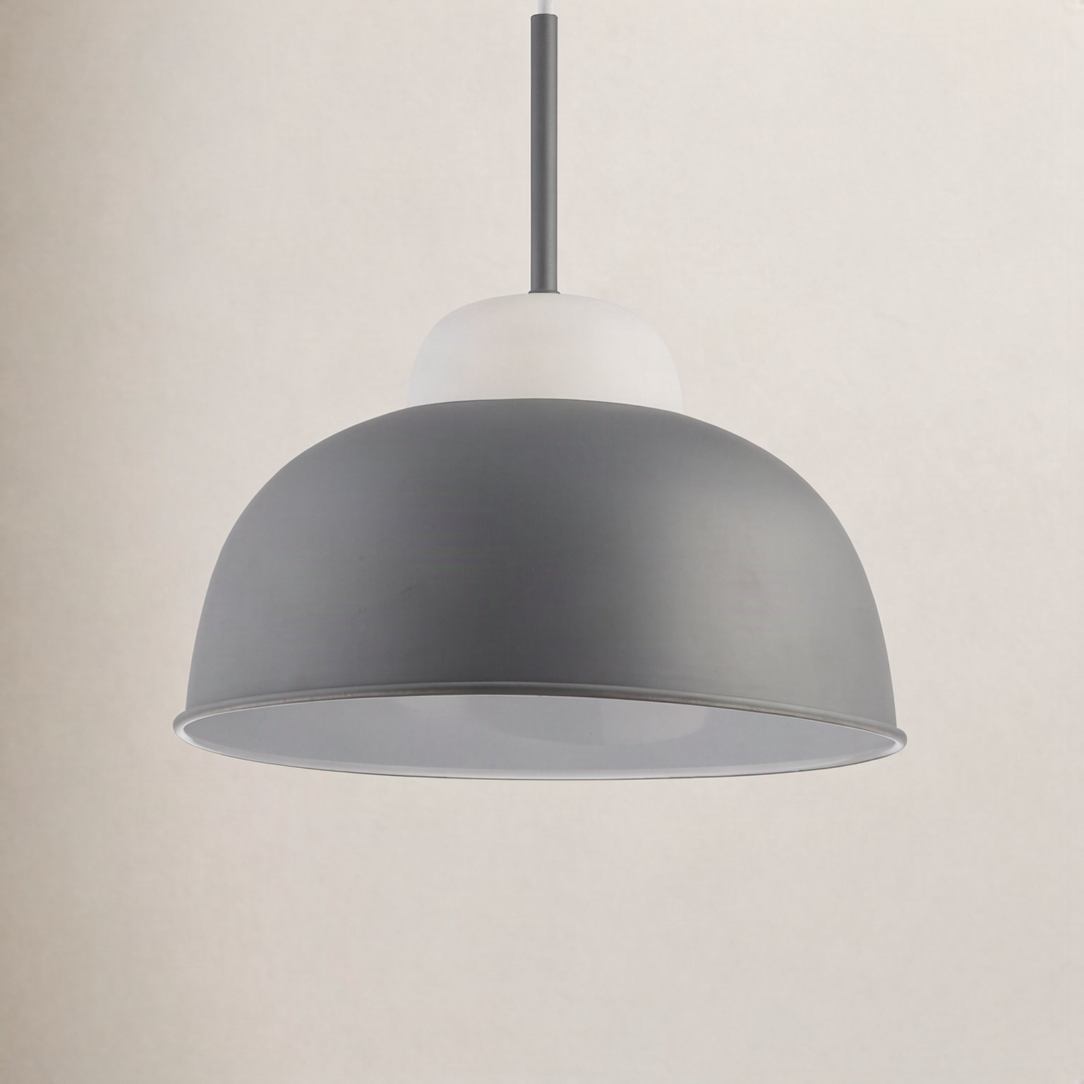 Damarion Single Light Metal Dimmable Pendant