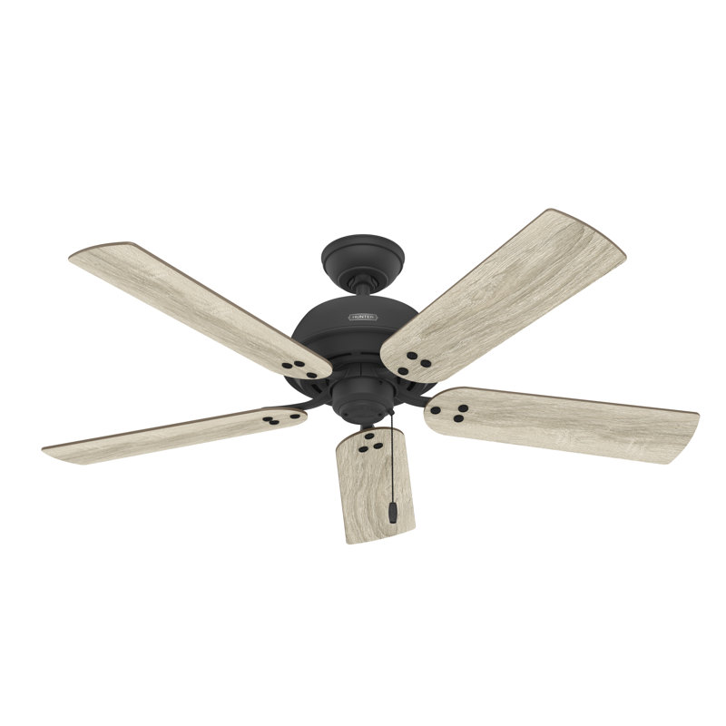 52" Shady Grove 5 - Blade Ceiling Fan With LED Light Kit And Pull Chain, Matte Black