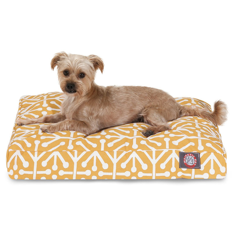 Coussin orthopédique Aruba, Agrume, Moyen (l 29 po x P 36 po x H 5 po) ;