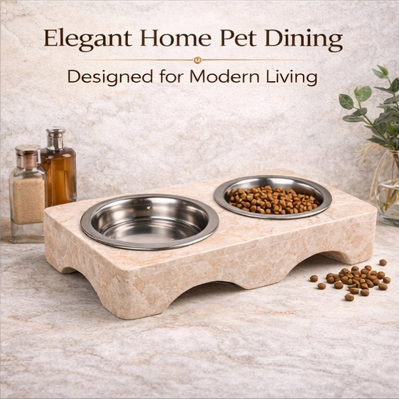 Anti-Skid Pet Bowl