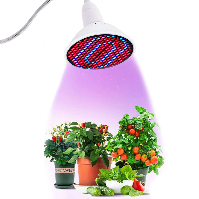 Deago 20 Watt Grow Light