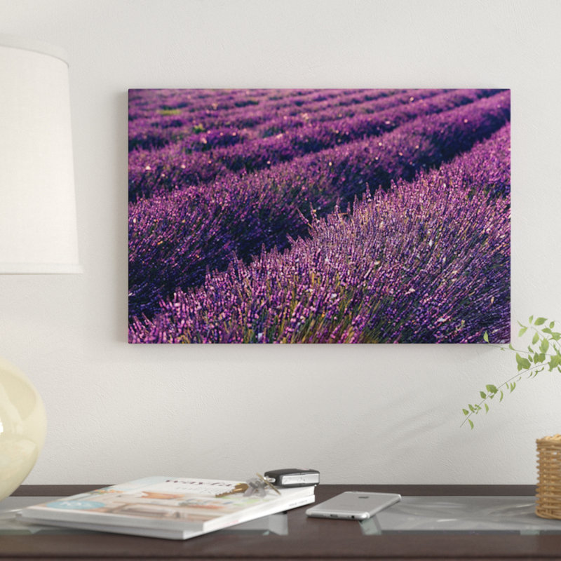 «Lavender Symphony I» par Stefan Hefele, reproduction de photo sur toile tendue, H 26 po x l 40 po x P 1,5 po, Pas de tapis