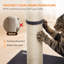 80 cm H Cat Scratchers