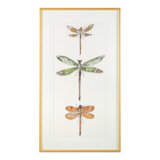 Joy Colangelo Joyful Dragonflies II Framed Print Canvas