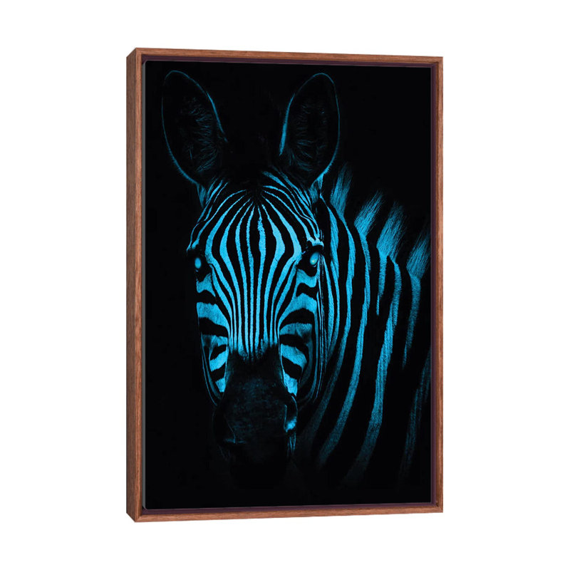Cool Zebra by Paul Haag - Print on Canvas, 66.04 cm H x 45.72 cm W, Classic Brown Wood Framed