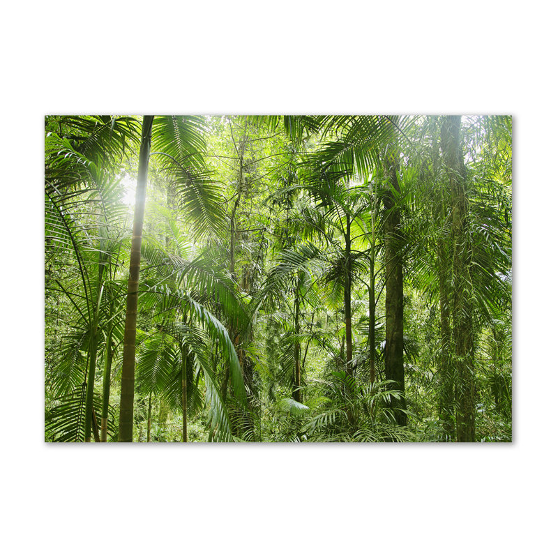 Tropical Forest - Wrapped Canvas Print