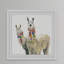 Paire de lama - reproduction de cadre photo sur papier-26290867