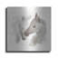 «Nuzzling I» par Chris Paschke-832643633