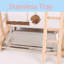 Bird Play Gym With Swing,Ladder,Tray,And Two Cups