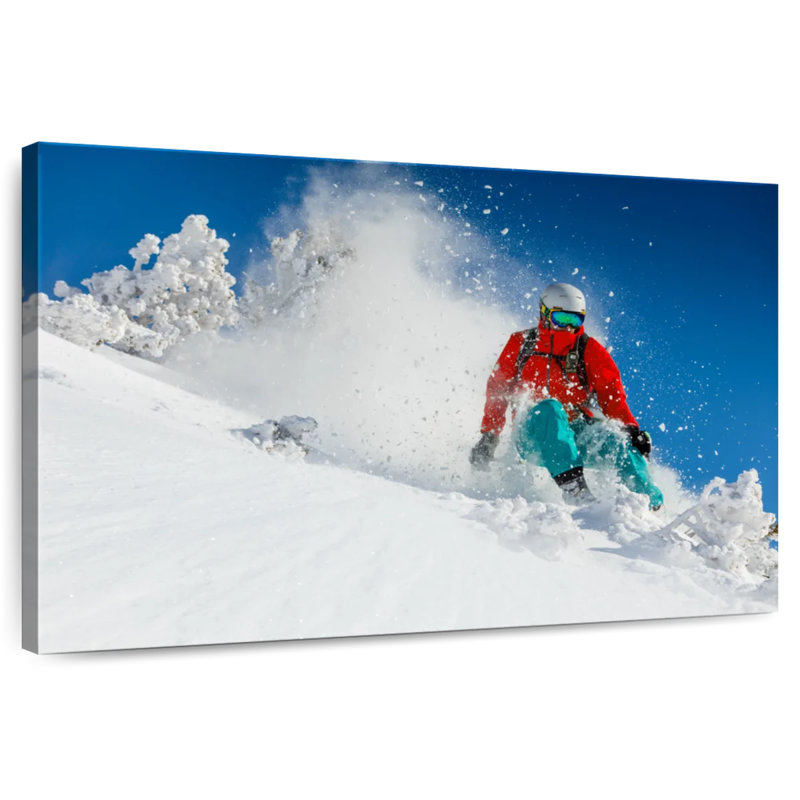 Sirci ski alpin, H 34 po x l 51 po