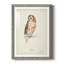 Tawny Owl Premium encadré mat - prêt à accrocher-458113669-458113785