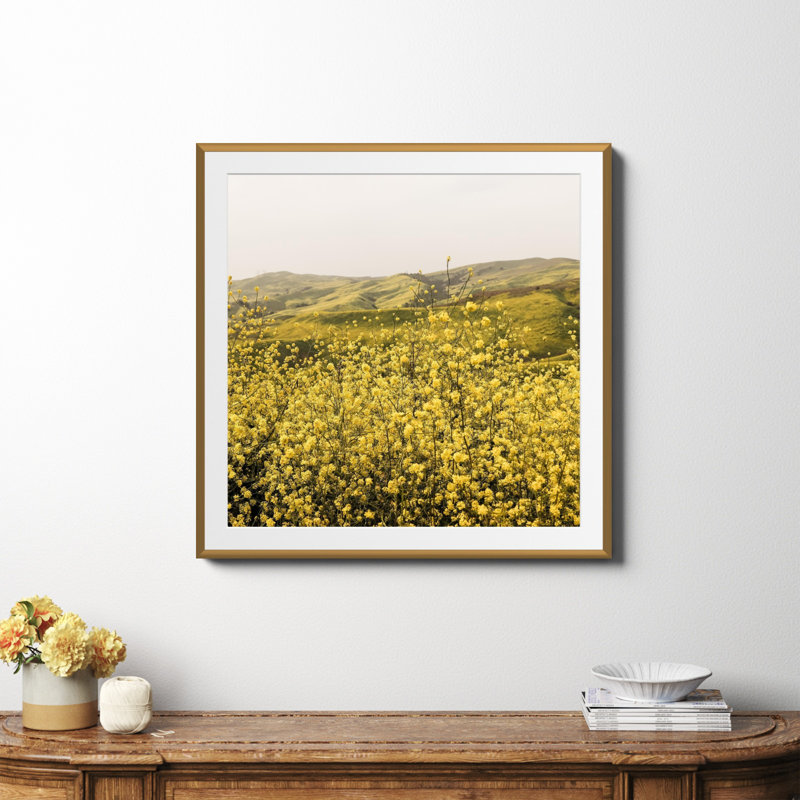 «Spring Is Here Yellow Wildflowers» par By Brije, H 36 po x l 36 po x P 0,75 po, Papier avec cadre doré, Oui