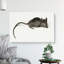 Mouse by Jean Bernard - Wrapped Canvas-55360575