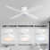 Bonnitta 52'' Ceiling Fan with LED Lights