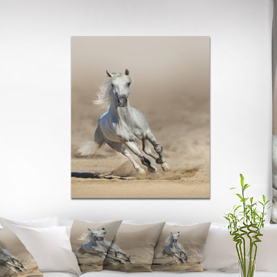 Photographie de fond de couleur arabique