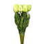 Tiges de tulipe Real Touch-1691568786