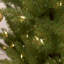 Fraser Lighted Artificial Christmas Tree-50785611