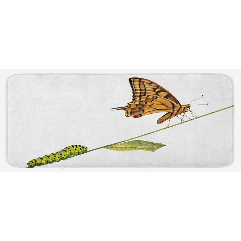 Tapis de cuisine vert brun pâle à l’chenille pupae papillon life