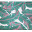 Tropics Watermelon Sunbrella® Fabric