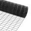 Chicken Fencing-399086180