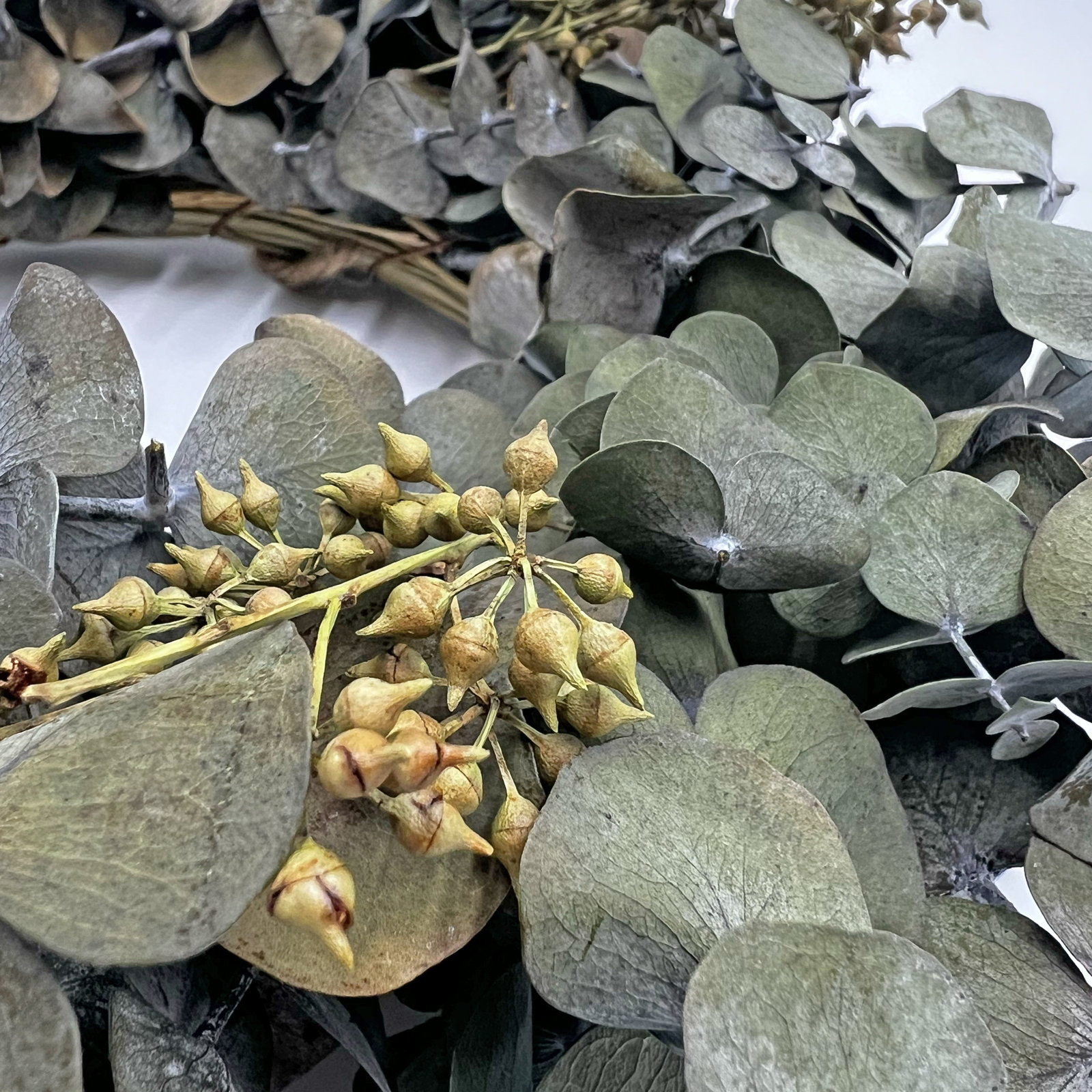 Handcrafted Eucalyptus Wreath, 3" W x 12" H x 12" D