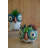  Ceramic Owl Planters Set of 3 – 6.5" Tall Whimsical Pots