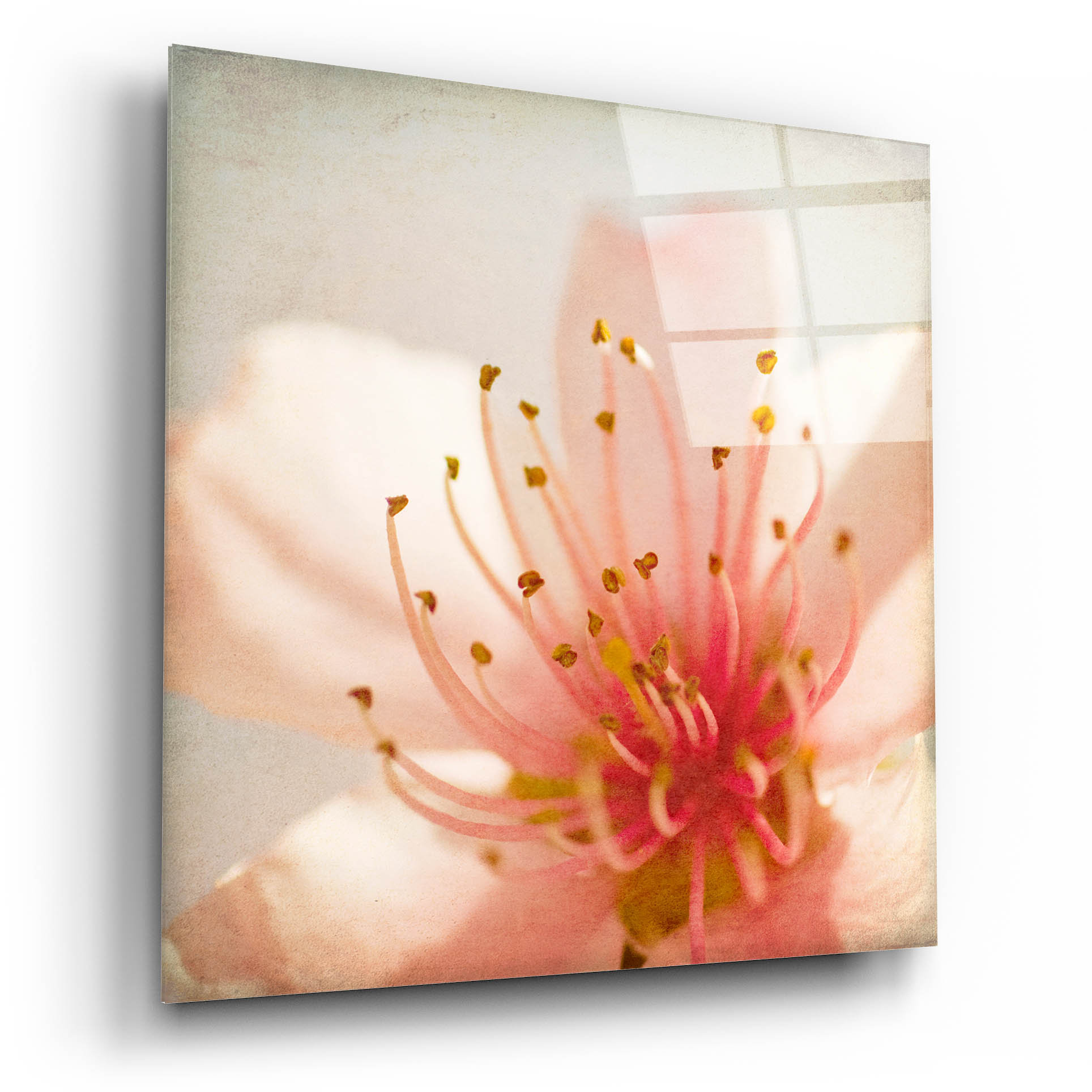 Latitude Run® 'Spring Whispers 3' By Jessica Rogers, Canvas Wall Art