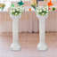 Plastic Backdrops & Signs
