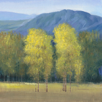 Shaft Of Light II by Tim OToole - Wrapped Canvas Painting