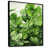 Black Floater Framed