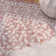 Amedee Performance Oriental Indoor/Outdoor Area Rug