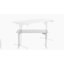 Aario One Piece Electric Height Adjustable Standing Desk with USB Charger-1704432460-1704432458