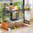 Over The Sink Drying Rack (Expandable Dimension) Snap-On Design 2 Tier Large Dish Rack Kitchen Count Organization and Storage