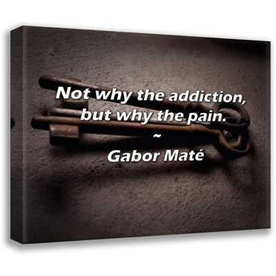 Gabor Maté Quote: Not why the addiction, but why the pain.