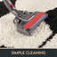 Chasteen Shag Rug-36122835-114524359