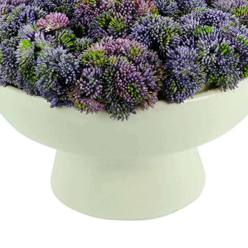 Arrangement floral succulent dans un vase, Mauve