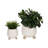 Ereka Stoneware and Ceramic Footed Round Planters with Triple Ball Base Design Set of 2-1852085794