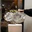 Massive Gypsum Var. Selenite From Mexico